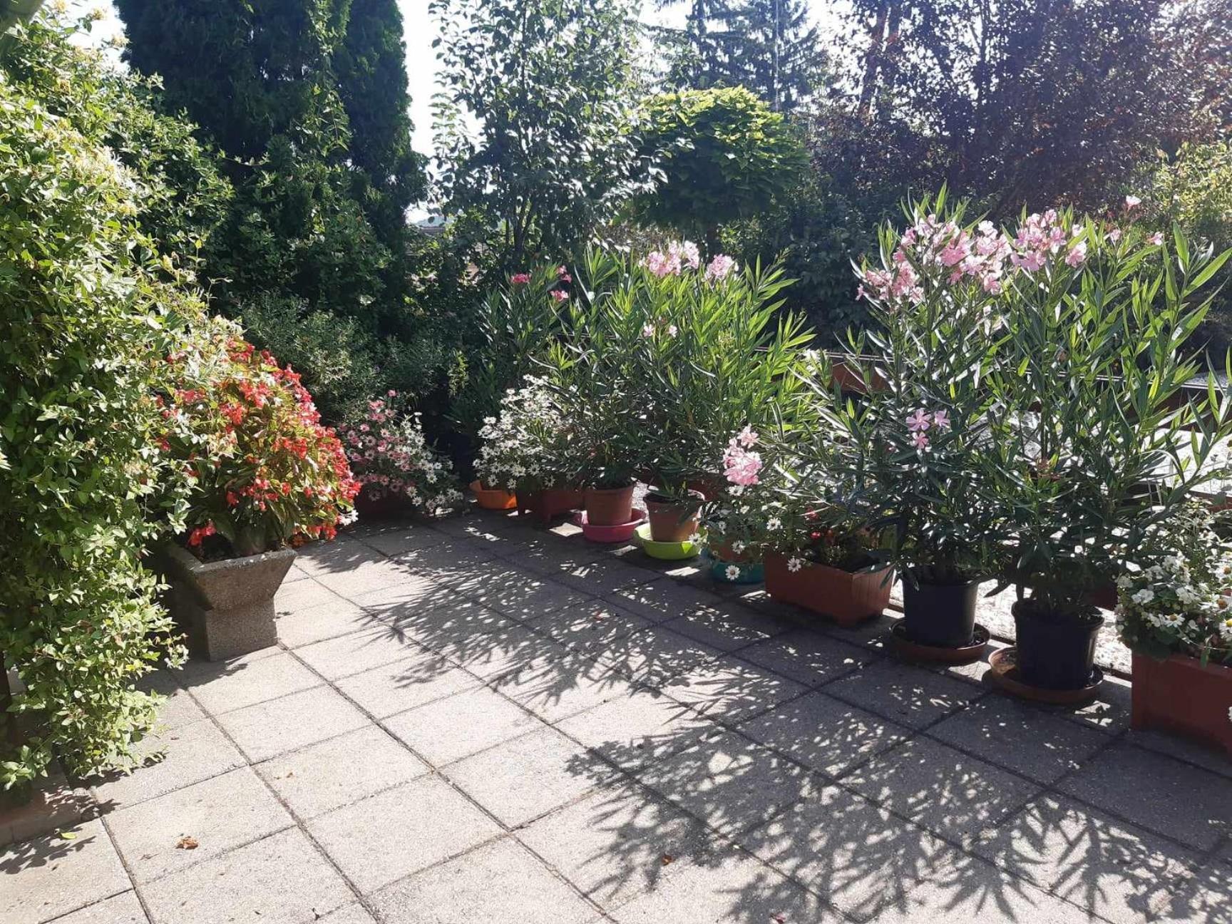 Gyoengyvirag Apartment Romhány Eksteriør billede
